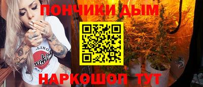 гидропоника Будённовск