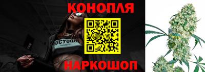 гидропоника Будённовск