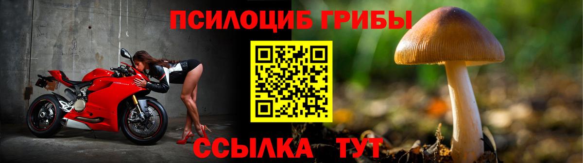 Карабулак  Псилоцибиновые грибы ЛСД  Вход с VPN 